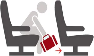 17" Rolling Personal Item Underseat Duffel for Airlines