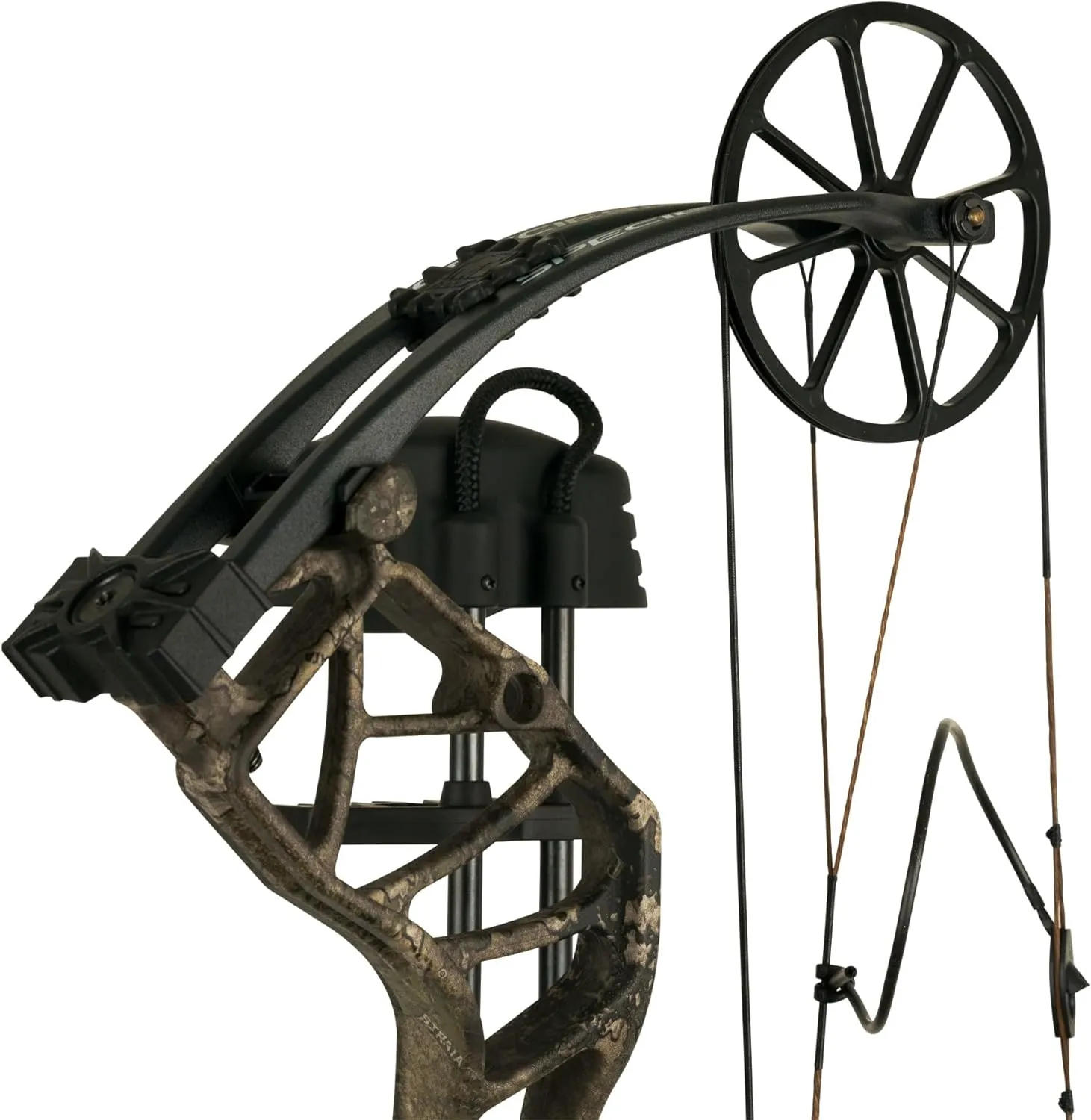 Bear Archery Species EV Ready to Hunt Extra Adult Compound Bow Package, 23.5”- 30.5” Draw Length, 55-70 and 45-60 Lbs Draw Weight, Up to 320 FPS, Made in USA, Limited Life-Time Warranty