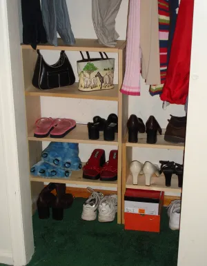 Closet Organizer (Elon)