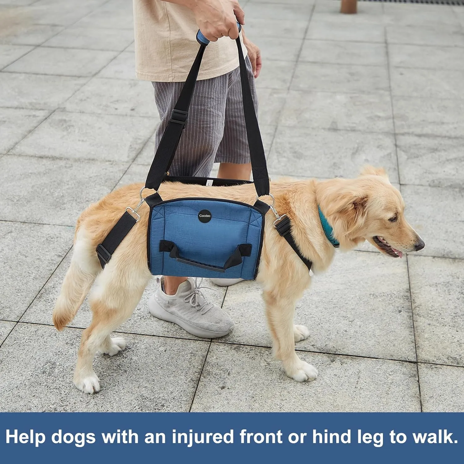 COODEO Dog Carry Sling, Emergency Backpack Pet Legs Support & Rehabilitation Dog Lift Harness for Nail Trimming, Dog Carrier for Senior Dogs Joint Injuries, Arthritis, Up and Down Stairs(XL, Blue)