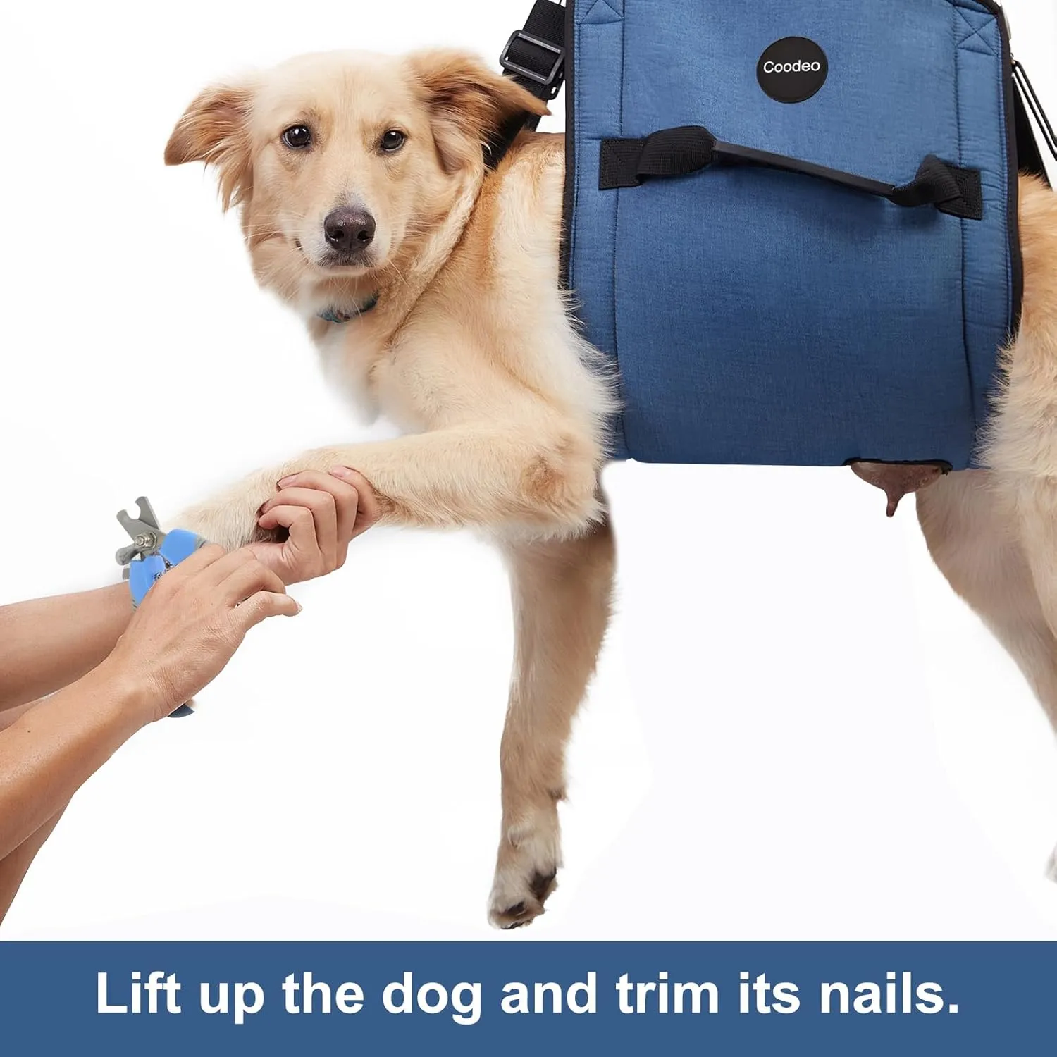 COODEO Dog Carry Sling, Emergency Backpack Pet Legs Support & Rehabilitation Dog Lift Harness for Nail Trimming, Dog Carrier for Senior Dogs Joint Injuries, Arthritis, Up and Down Stairs(XL, Blue)