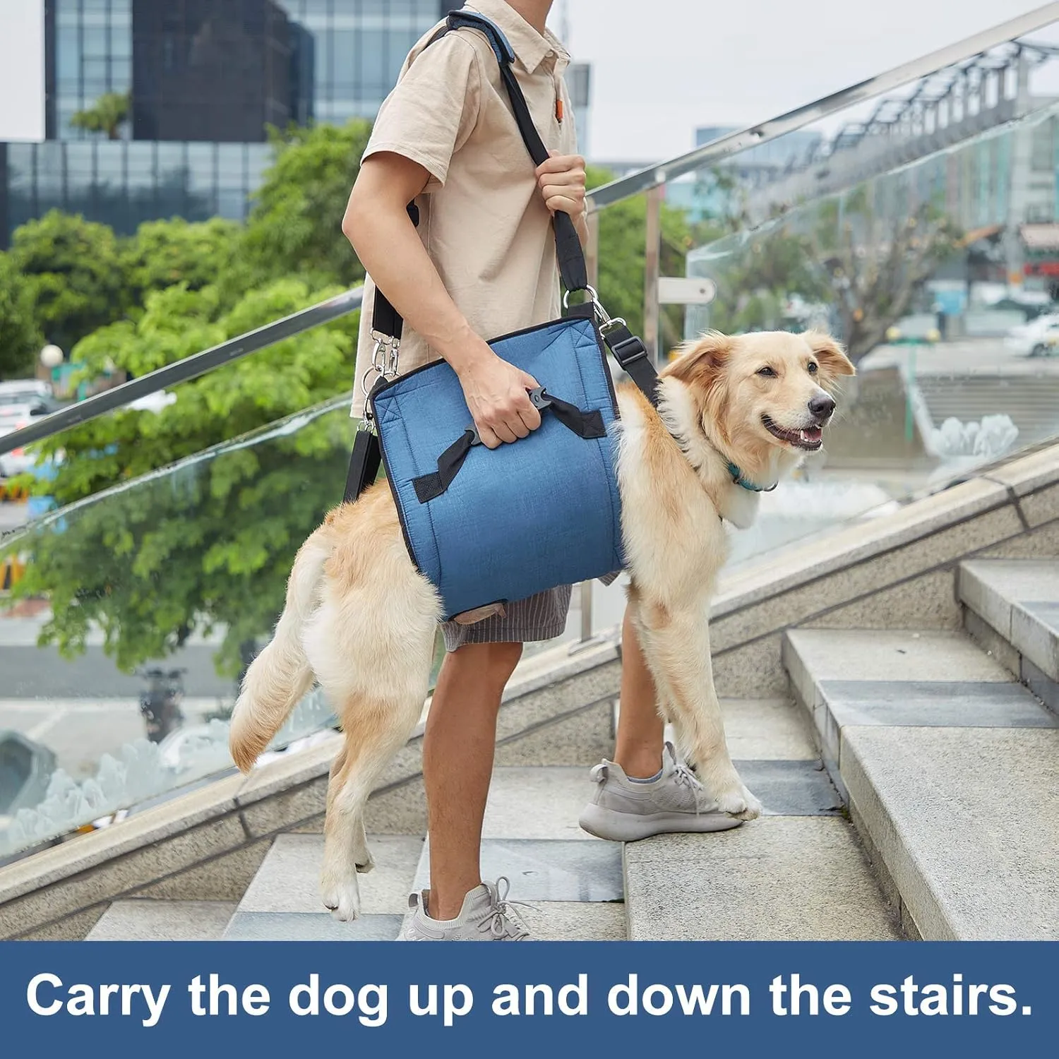 COODEO Dog Carry Sling, Emergency Backpack Pet Legs Support & Rehabilitation Dog Lift Harness for Nail Trimming, Dog Carrier for Senior Dogs Joint Injuries, Arthritis, Up and Down Stairs(XL, Blue)