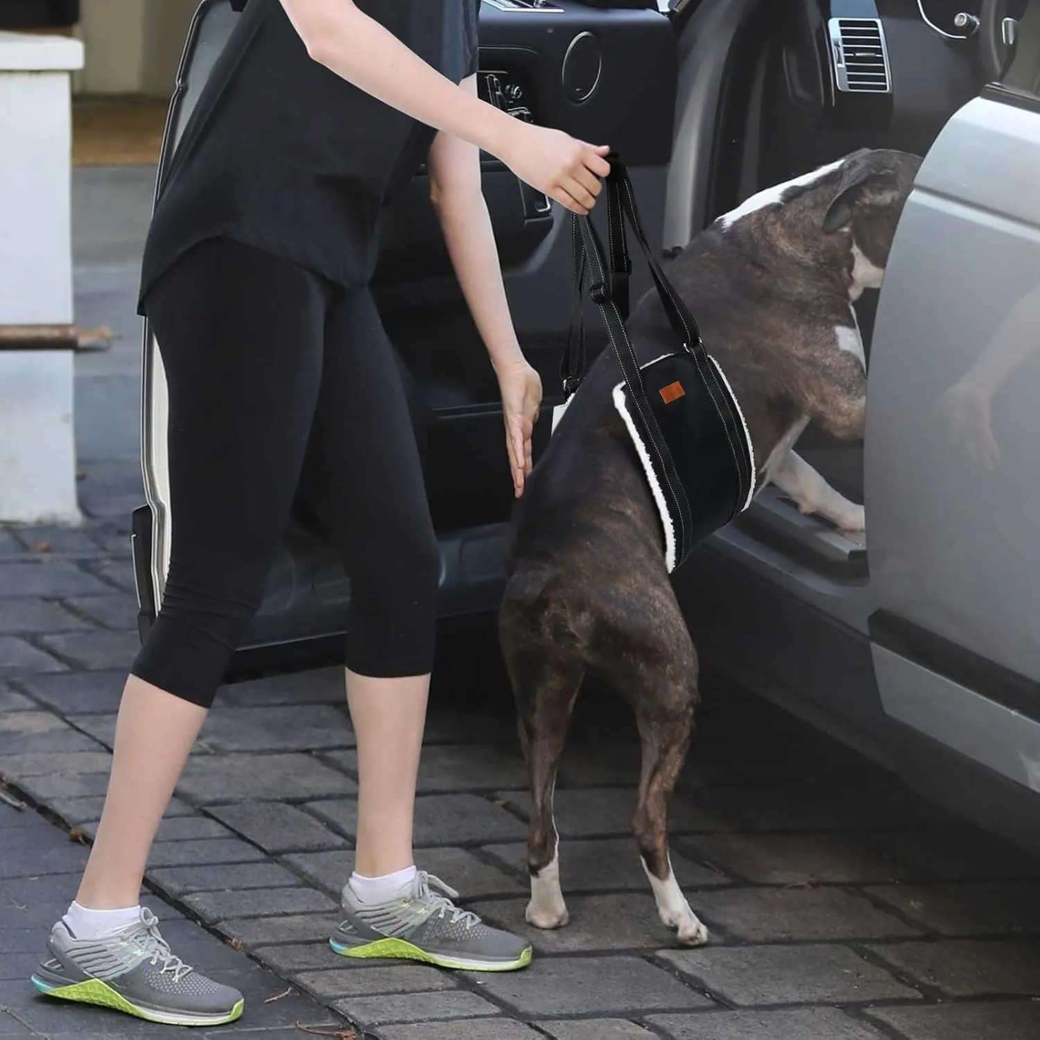 LOOBANI Portable Dog Sling for Back Legs, Hip Support Harness to Help Lift Rear for Canine Aid Old K9 Cruciate Ligament Rehabilitation