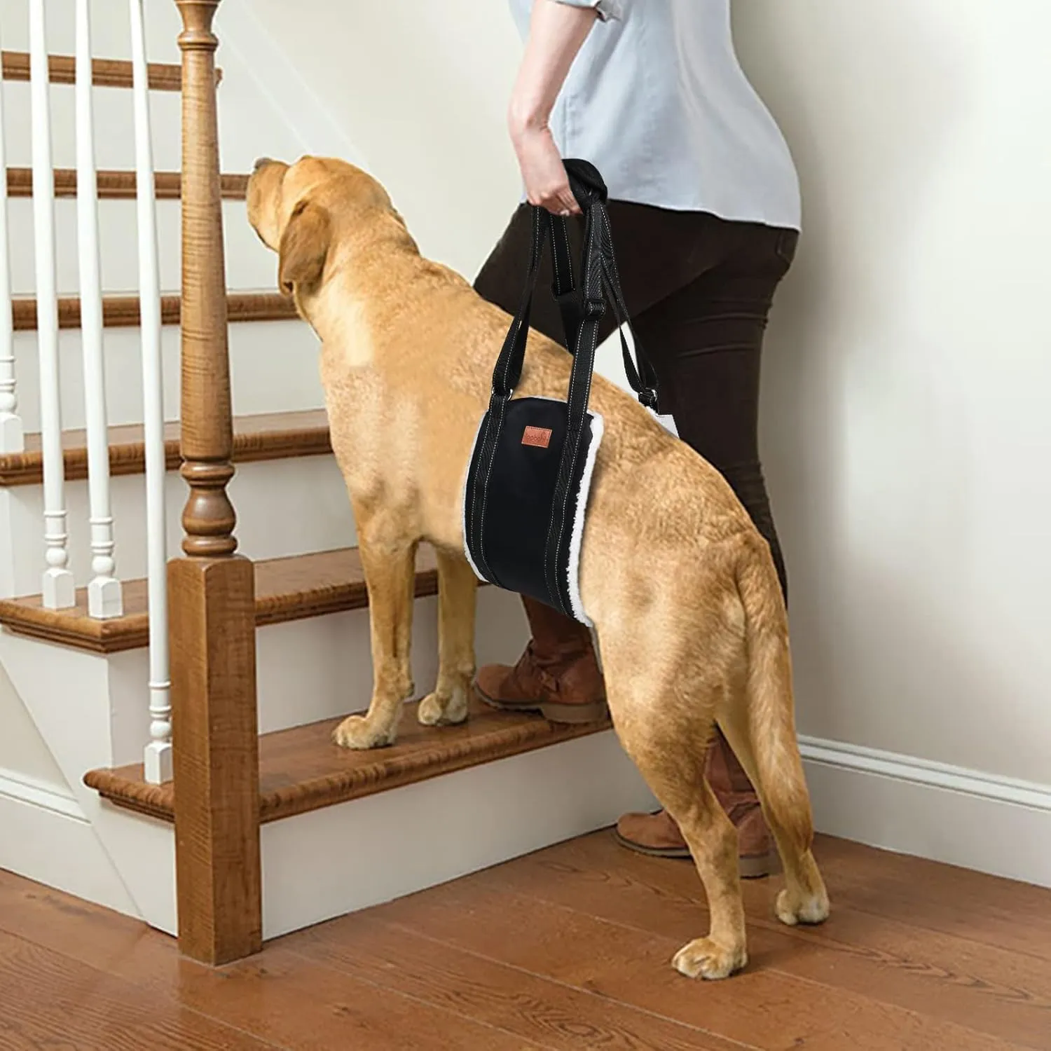 LOOBANI Portable Dog Sling for Back Legs, Hip Support Harness to Help Lift Rear for Canine Aid Old K9 Cruciate Ligament Rehabilitation