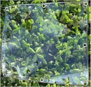 ZHANGQINGXIU Fabric Tarpaulin Outside PE Waterproof Tarpaulin Cover, Outside Sun Protection Tent, Transparent Rainproof Pergola Panel Curtain for Garden Terrace Roofing with Eyelets, 24 Sizes